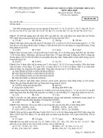 Thi thử đại học lần 1 năm 2010 - Thuận Thành Số 1