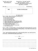 De Kiem Tra Chuong II-Hình học- Lop 6.2