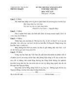 De thi hoc sinh gioi lop 8 cap huyen nam hoc 2010-2011