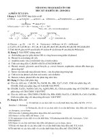 NỘI DUNG ÔN TẬP HKII HÓA 11 CƠ BẢN