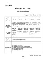 giáo án tuần 20 chủ điểm tv (hoa)