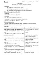 am nhac tuan co ca boi duong nang khieu