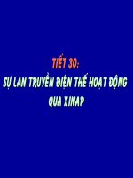 Sinh 11 - Bài 30