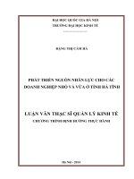 Phát triển nguồn nhân lực cho các doanh nghiệp nhỏ và vừa ở tỉnh Hà Tĩnh