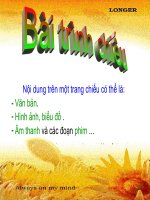 Nội dung của một trang chiếu