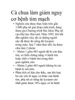 Cà chua làm giảm nguy cơ bệnh tim