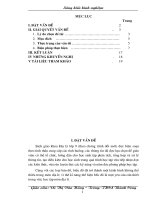 SKKN NOP PHONG: KỸ NĂNG DIA LÍ