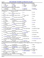 luyen thi vao lop 10 chuyen