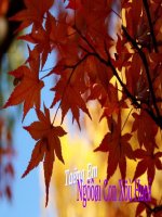 HÃY YÊU QUÝ NHỮNG GÌ ĐANG CÓ - Phần 1