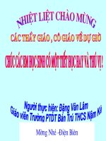 Bài giảng điện tử tham khảo thao giảng, thi GV anh 6 Unit 12 Sports and pastimes (14)