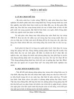 sang kien kinh nghiem 2011