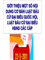 giới thiệu luật bầu của đại biểu QH, đại biểu HDND các cấp