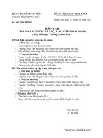 BÁO CÁO TÌNH HÌNH ĐẢNG VIÊN THÁNG 3 NĂM 2011