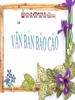 van ban bao cao. vha