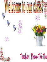 Bài giảng điện tử tham khảo thao giảng, thi GV anh 6 Unit 12 Sports and pastimes (34)