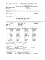 Đề thi + Đáp án HSG 6,7,8 (10-11) TA 7