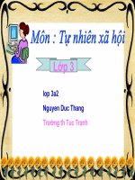 tu nhien xa hoi bai la cay