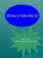 Biên rau củ thành động vật