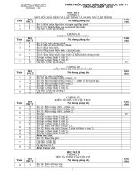 Phân phối chương trình tin học 11 (2010 - 2011)