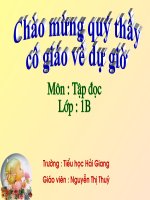 Tập đọc : tuần 33: Cây bàng 2 tiết