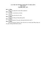 CẤU TRÚC ĐỀ THI HSGVH LỚP 8 - MÔN TOÁN