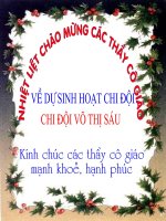Sinh hoạt chi Đội