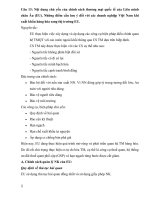 Nội dung chủ yếu của chính sách thương mại quốc tế của Liên minh châu Âu (EU). Những điểm cần lưu ý đối với các doanh nghiệp Việt Nam khi xuất khẩu hàng hóa sang thị trường EU