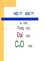 Bài tập, tình huống, câu hỏi thảo luận môn tài chính công