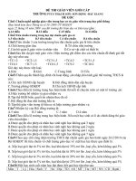 DE THI GV GIOI CAP TRUONG PTCS THACH SON