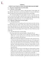 Thực trạng và giải pháp quản lý hàng tồn kho tại Công ty cổ phần Việt Nam PHARUSA