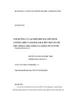 Ảnh hưởng của sự phối hợp hai chế phẩm Atonik 1,8DD và Basfoliar-K đến một số chỉ tiêu sinh lí, hoá sinh của giống ớt F1 NP 907 (Capsicum frutescens