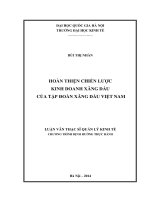 Hoàn thiện chiến lược kinh doanh xăng dầu của Tập đoàn Xăng dầu Việt Nam