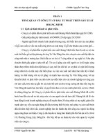 Đặc điểm tổ chức hạch toán kế toán tại Công ty cổ phần đầu tư phát triển sản xuất Hoàng Minh