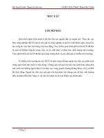 Tiểu luận môn học tài chính công Ngoại tác tiêu cực