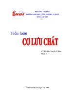 TIỂU LUẬN CƠ LƯU CHẤT - NHÓM 1 -ĐẠI HỌC CÔNG NGHIỆP TPHCM