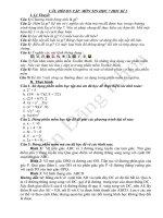 Câu hỏi ôn tập kì II