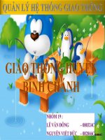 BÁO CÁO QUẢN LÝ HỆ THỐNG GIAO THÔNG HUYỆN BÌNH CHÁNH
