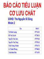 BÁO CÁO TIỂU LUẬN CƠ LƯU CHẤT - NHÓM 2 -ĐẠI HỌC CÔNG NGHIỆP TPHCM