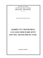 Nghiên cứu thành phần các loài chim ở khu BTTN Sơn Trà, thành phố Đà Nẵng.