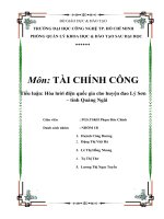 Tiểu luận môn tài chính công Hòa lưới điện quốc gia cho huyện đảo Lý Sơn – tỉnh Quảng Ngãi