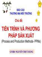 TIẾN TRÌNH VÀ PHƯƠNG PHÁP SẢN XUẤT (Process and Production Methods  PPMs)