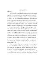 Ảnh hưởng của chế phẩm Basfoliar-K đến một số chỉ tiêu sinh lí, hóa sinh giống ớt F1 NP 907