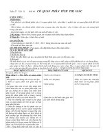 Bai 49: Cơ quan phân tích thị giác