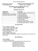 NỘI DUNG VÀ CẤU TRÚC THI HỌC KI II KHỐI 11