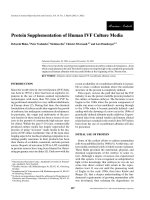 Protein supplementation of human IVF culture media