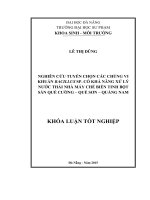 Nghiên cứu tuyển chọn các chủng vi khuẩn Bacillus. Có khả năng xử lý nước thải nhà máy chế biến tinh bột sắn Quế Cường - Quế Sơn - Quảng Nam