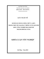Đánh giá hàm lượng chì và ASEN trong một số loại rau trồng xung quanh khu công nghiệp Hòa Khánh thành phố Đà Nẵng.