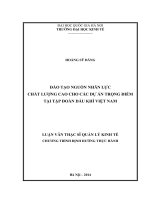 Đào tạo nguồn nhân lực chất lượng cao cho các dự án trọng điểm tại tập đoàn dầu khí việt nam PVN