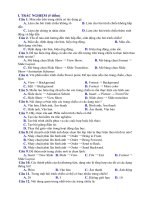 Đề kiểm tra HK2 Tin học 9