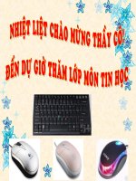Tin học 3: Chuột máy tính